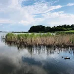 Sea Sun ロゴボ